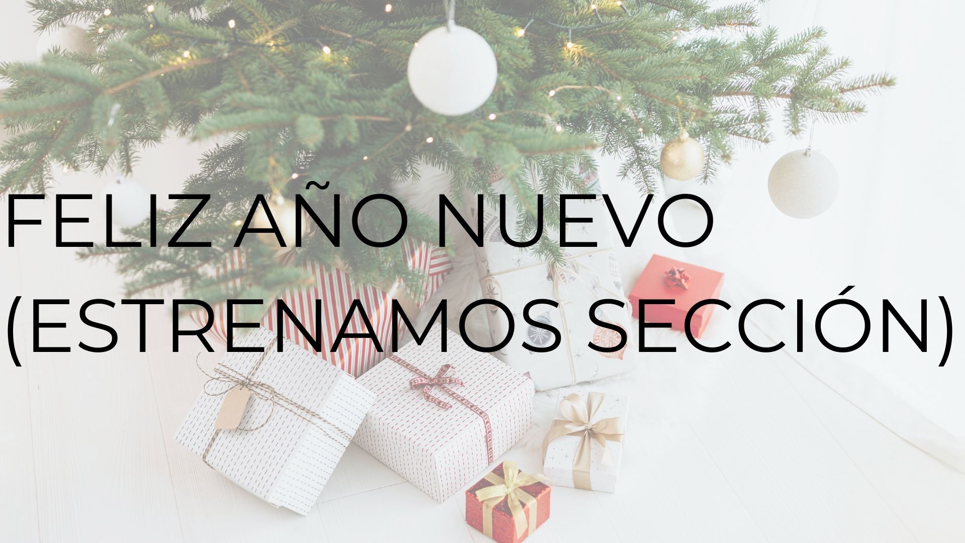 FELIZ AÑO NUEVO (ESTRENAMOS SECCIÓN)